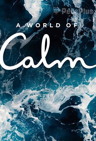 A World Of Calm