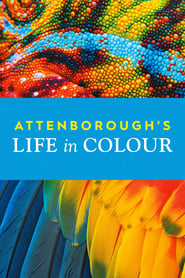 Attenborough’s Life in Colour