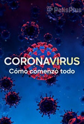 Coronavirus, Cómo Comenzó Todo