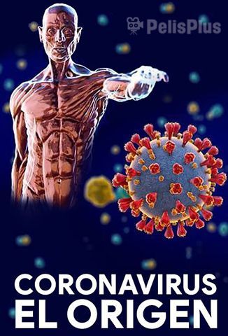 Coronavirus: El Origen