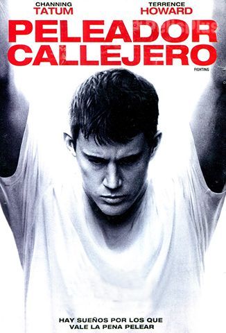 Peleador Callejero