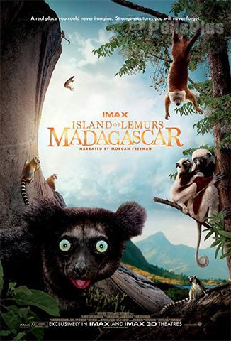 Isla de Lemures: Madagascar