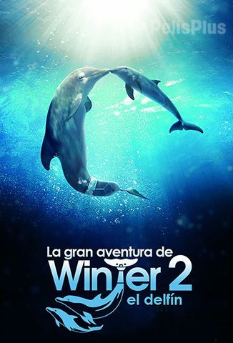 La Gran Aventura de Winter El Delfín 2