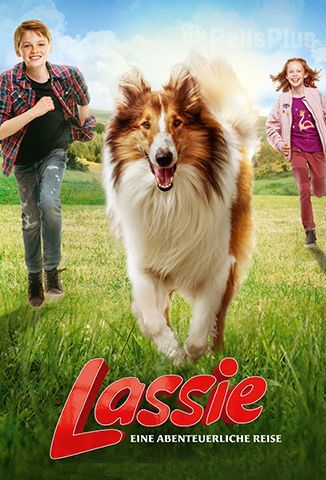 Lassie Vuelve A Casa
