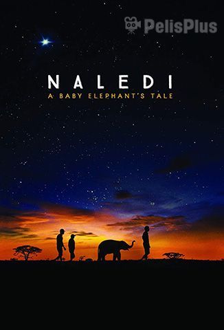 Naledi: A Baby Elephant`s Tale