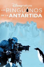 Los pingüinos de la Antártida