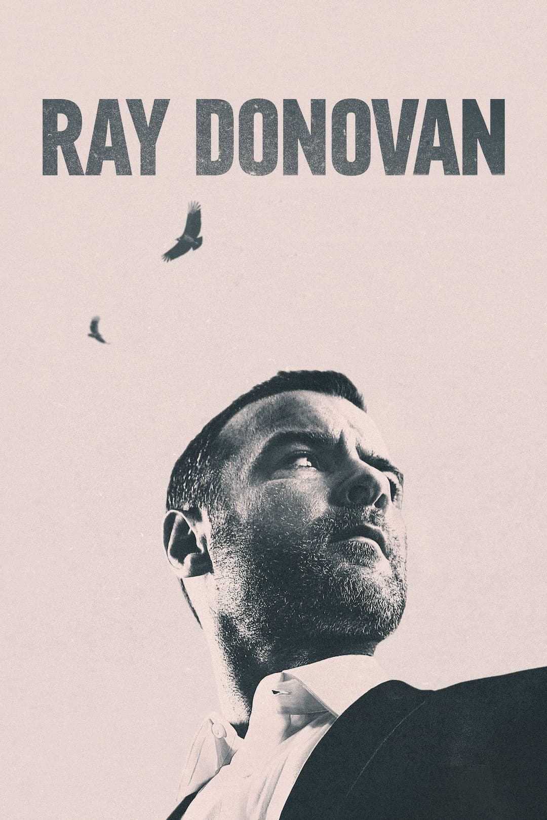 Ray Donovan, la película