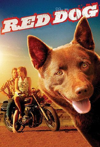 Red Dog, Una Historia de Lealtad