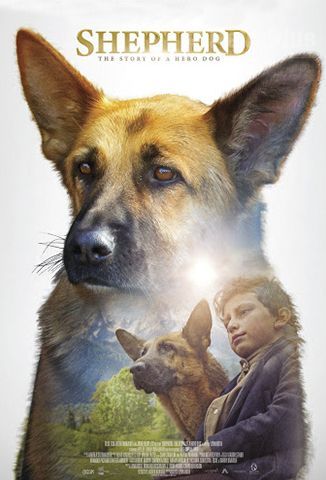 SHEPHERD: The Story Of a Hero Dog