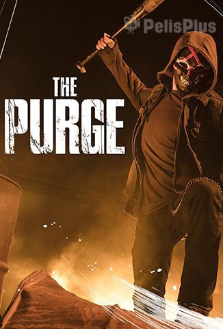 The Purge