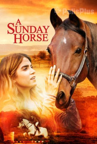 The Sunday Horse