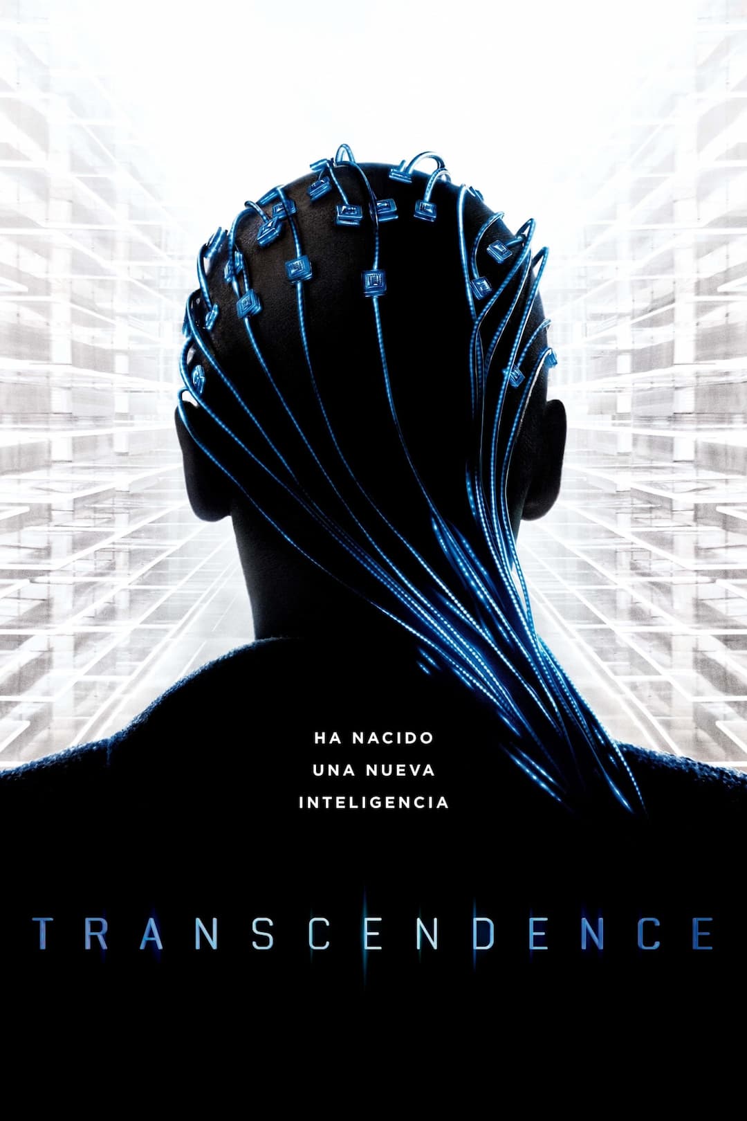 Transcendence: Identidad virtual