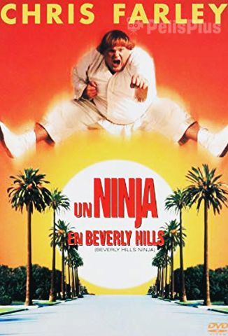 Un Ninja En Beverly Hills